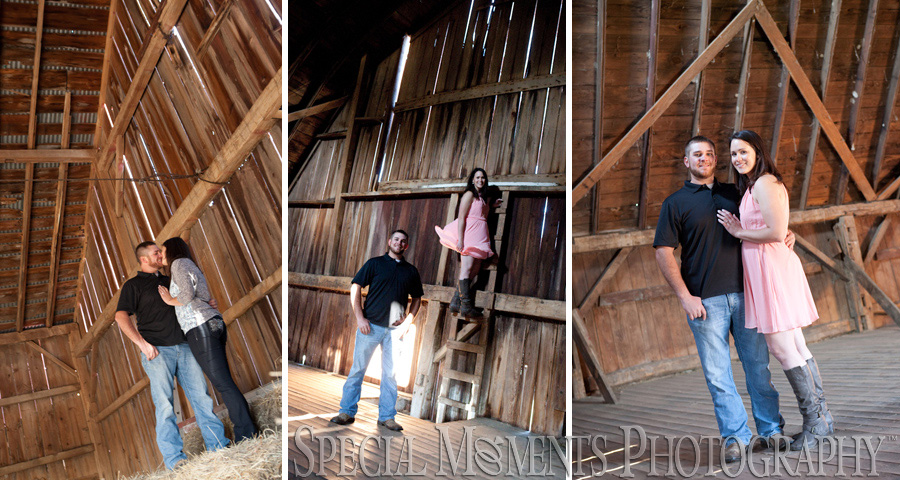 Saline MI Farm Wedding Engagement photograph