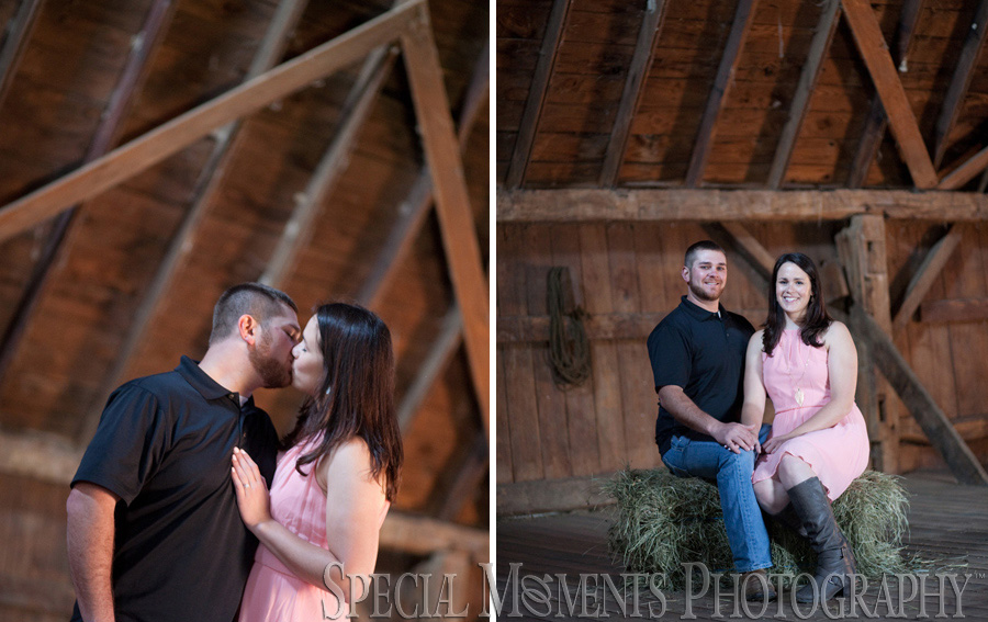 Saline MI Farm Wedding Engagement photograph