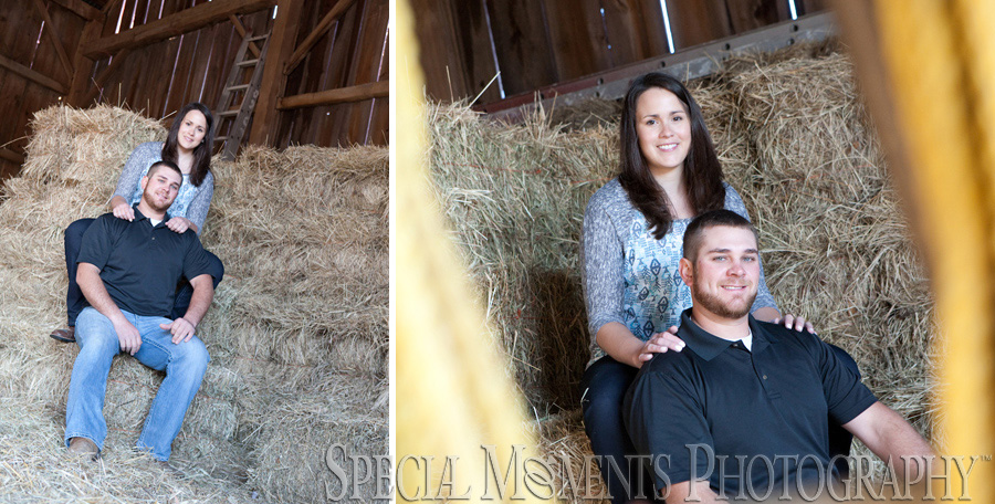 Saline MI Farm Wedding Engagement photograph