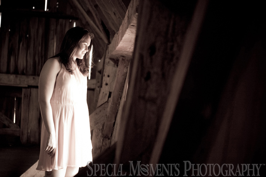 Saline MI Farm Wedding Engagement photograph