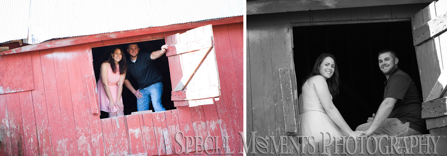 Saline MI Farm Wedding Engagement photograph