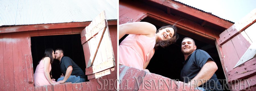 Saline MI Farm Wedding Engagement photograph