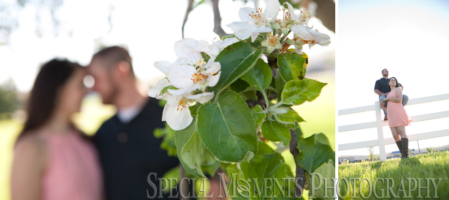 Saline MI Farm Wedding Engagement photograph