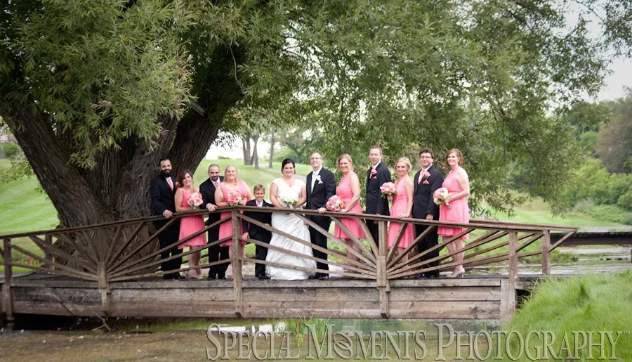 Paint Creek Country Club Lake Orion wedding photography