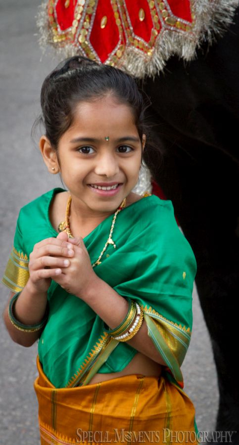 Westin Atrium Southfield MI Hindu wedding photograph