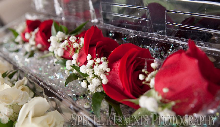Zuccaro's Banquets & Catering Chesterfield Twp. wedding photograph