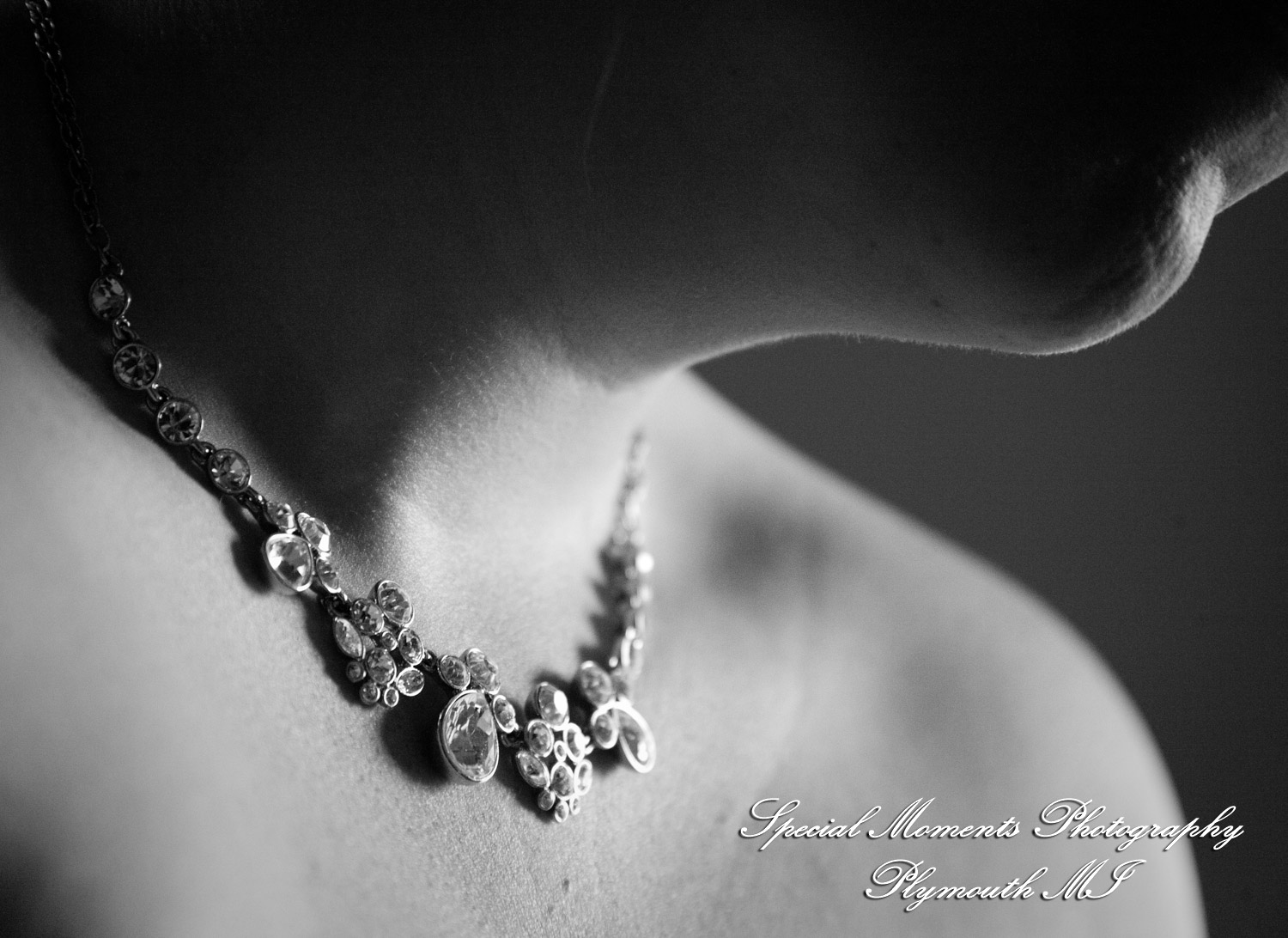 Charlotte & Andrew at Dearborn Inn Dearborn MI wedding photography