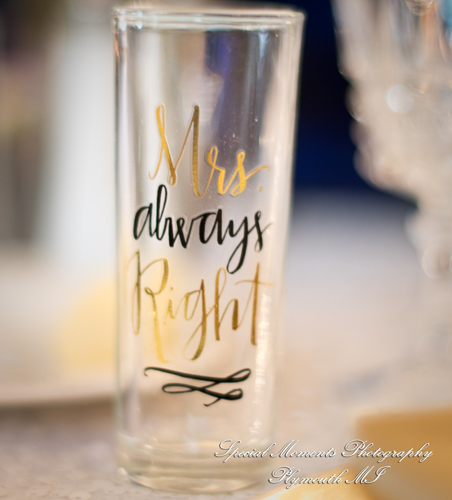 Charlotte & Andrew at Lovett Hall Dearborn MI wedding photography