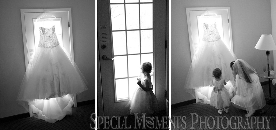 Frankenmuth Rose Garden Frankenmuth MI wedding photograph