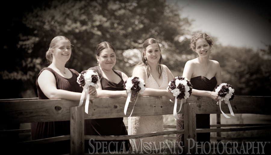 Stonebridge Golf Club Ann Arbor MI wedding photograph