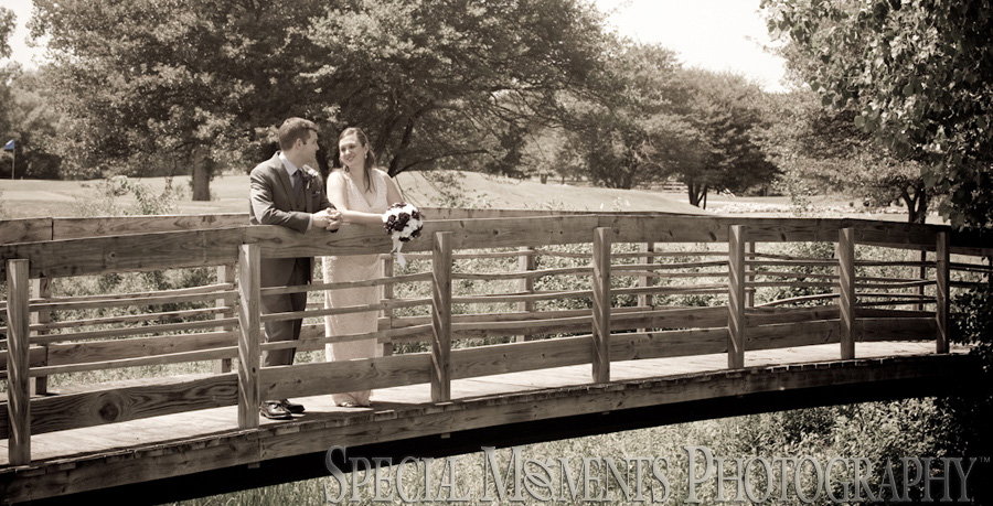 Stonebridge Golf Club Ann Arbor MI wedding photograph