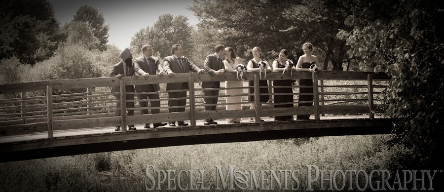 Stonebridge Golf Club Ann Arbor MI wedding photograph
