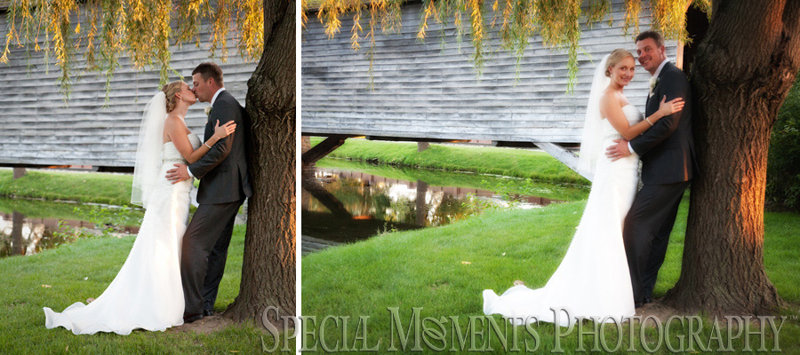 Taste of History Dearborn MI wedding photograph