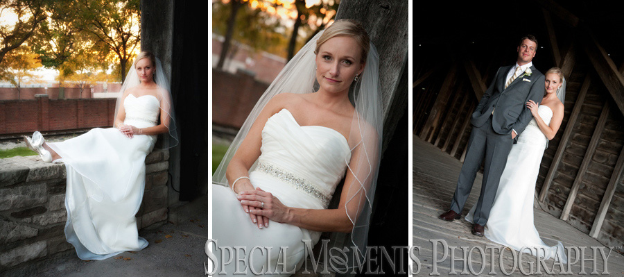 Taste of History Dearborn MI wedding photograph