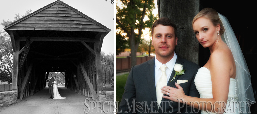 Taste of History Dearborn MI wedding photograph
