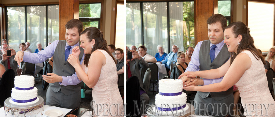 Stonebridge Golf Club Ann Arbor MI wedding photograph