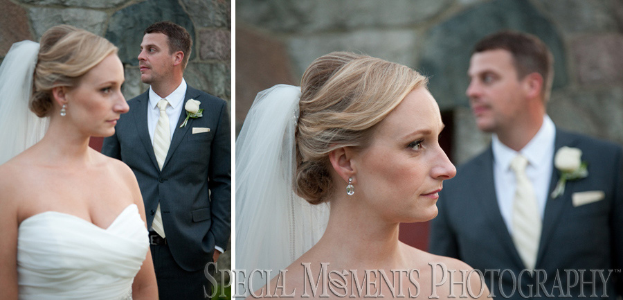 Taste of History Dearborn MI wedding photograph