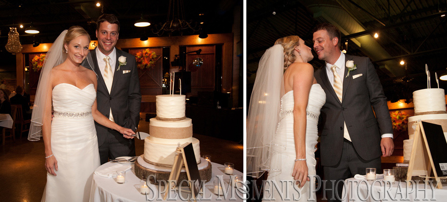 Taste of History Dearborn MI wedding photograph