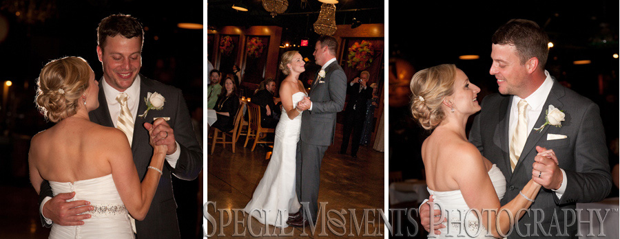 Taste of History Dearborn MI wedding photograph