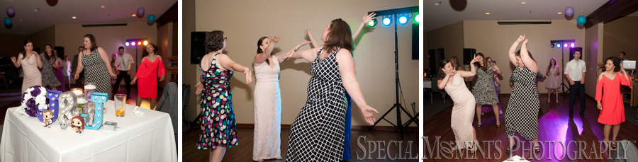 Stonebridge Golf Club Ann Arbor MI wedding photograph