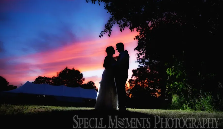 Home Wedding Reception Plymouth MI wedding photograph