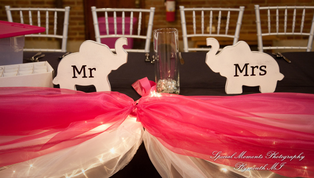 Candace & Paul at Toledo Zoo Toledo OH wedding photography