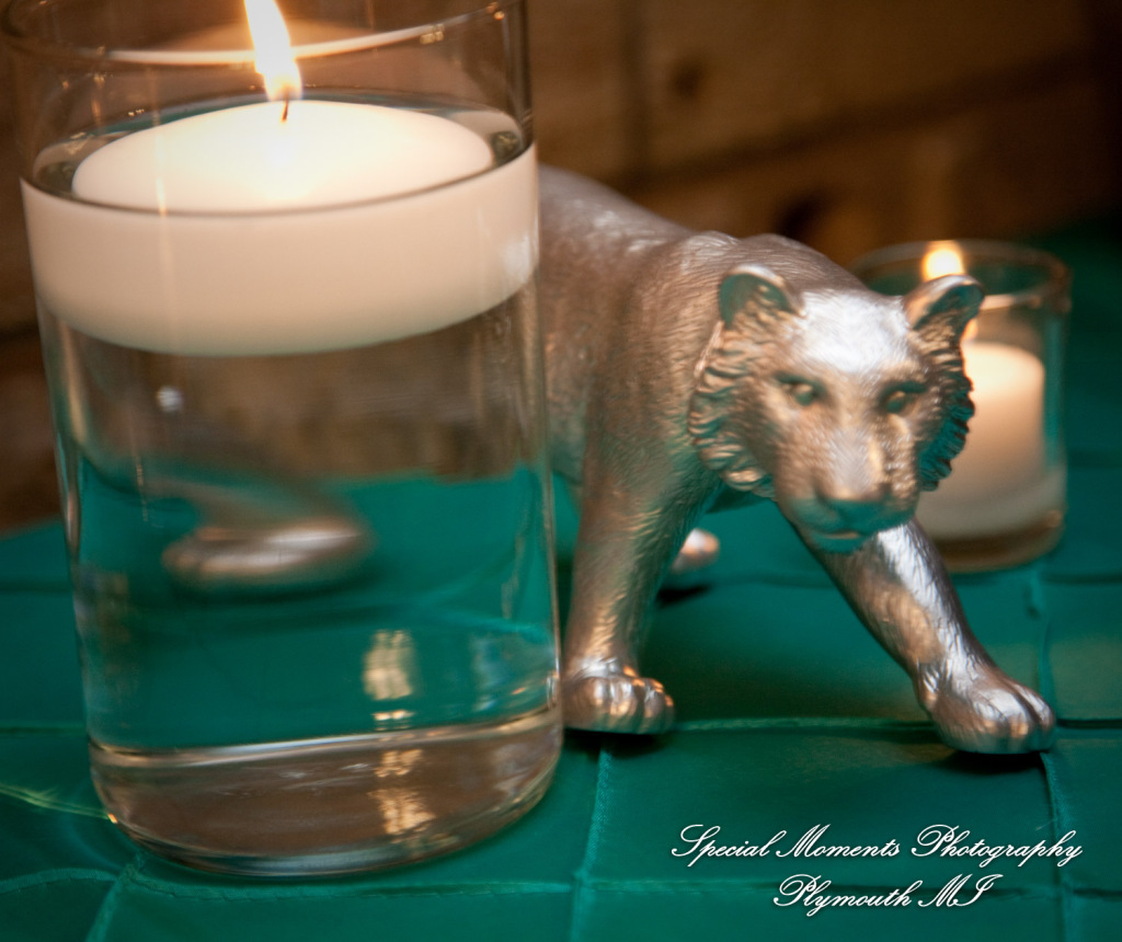 Candace & Paul at Toledo Zoo Toledo OH wedding photography