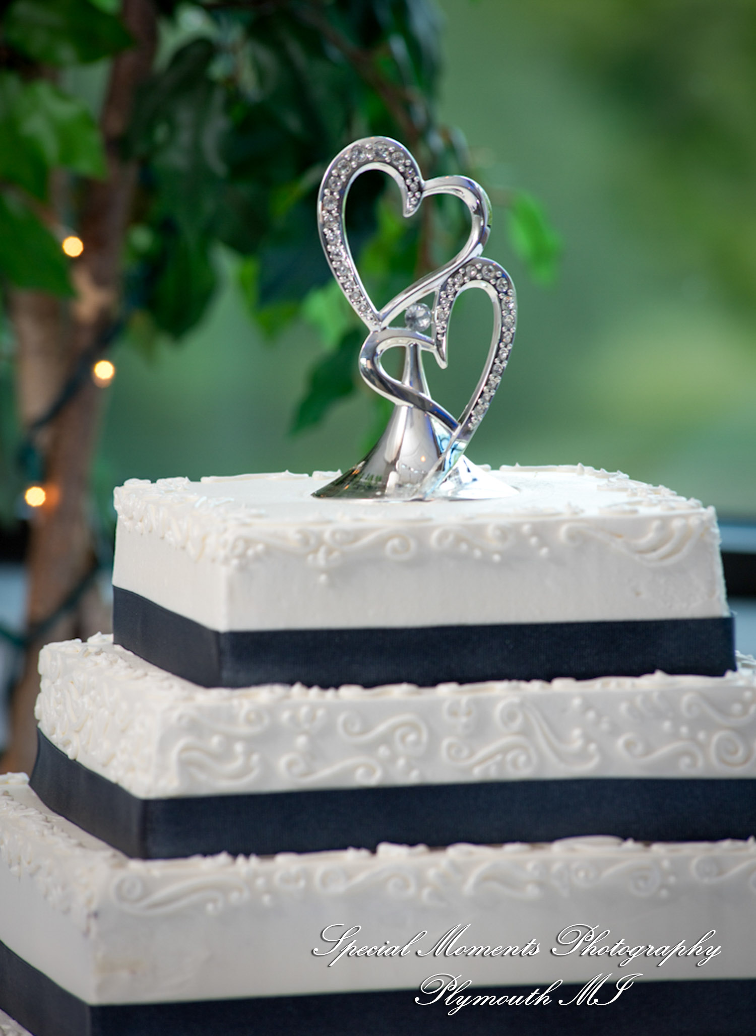 Rachael & Christopher at Warren Valley Golf Club Dearborn Heights MI wedding photography