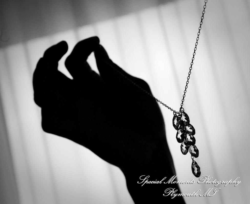 5 Star - HOMEPAGE - Candice & Brian at Westin Book Cadillac Detroit MI wedding photography