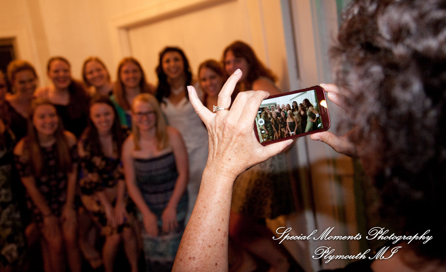 David & Cathy at Blossom Heath Inn St. Clair Shores MI wedding photography