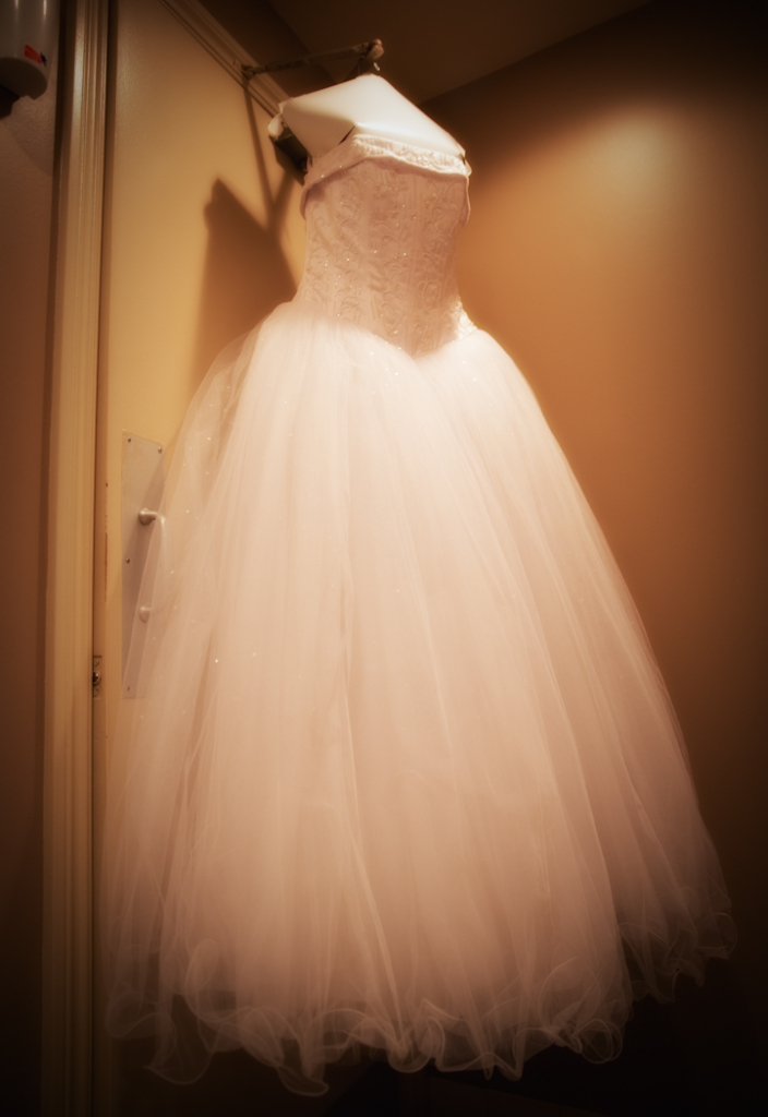 Breanna & Phillip Shelby Banquet Center Shelby Twp. MI wedding photograph