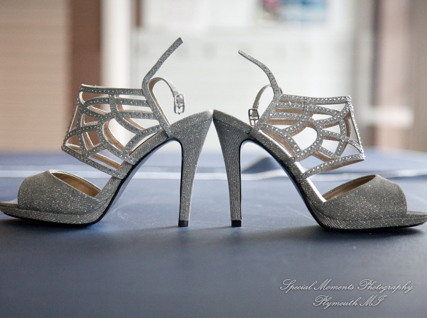 Farirlane Alliance Church Dearborn MI wedding photography