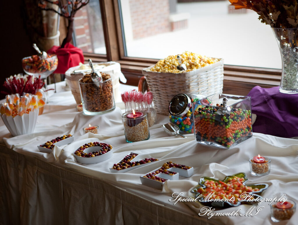 Marie & Steven at Warwick Hills Country Club Grand Blanc MI wedding photography