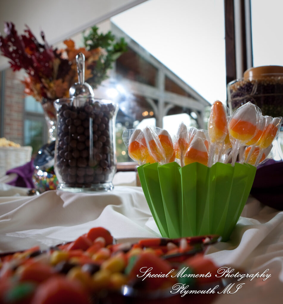 Marie & Steven at Warwick Hills Country Club Grand Blanc MI wedding photography