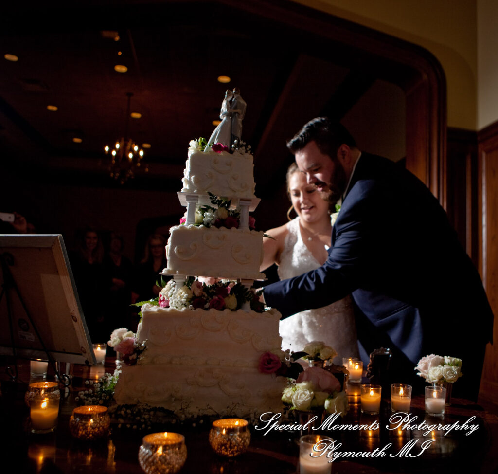 Marie & Steven at Warwick Hills Country Club Grand Blanc MI wedding photography