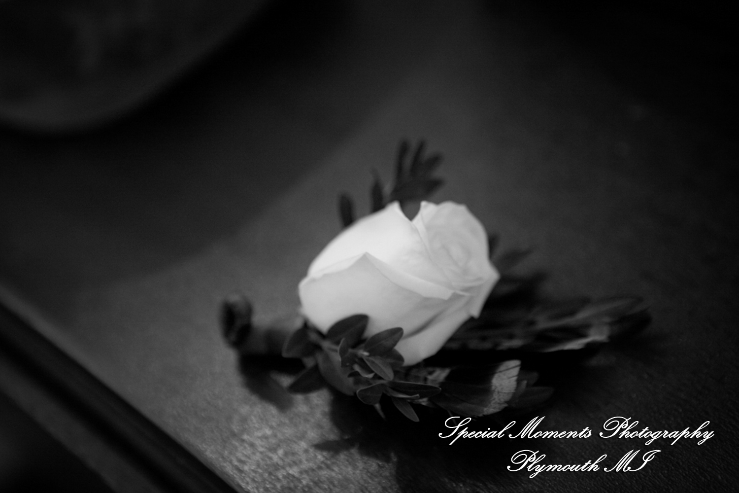 Holly & Christopher at Martha-Mary Chapel Greenfield Village Dearborn MI wedding photography