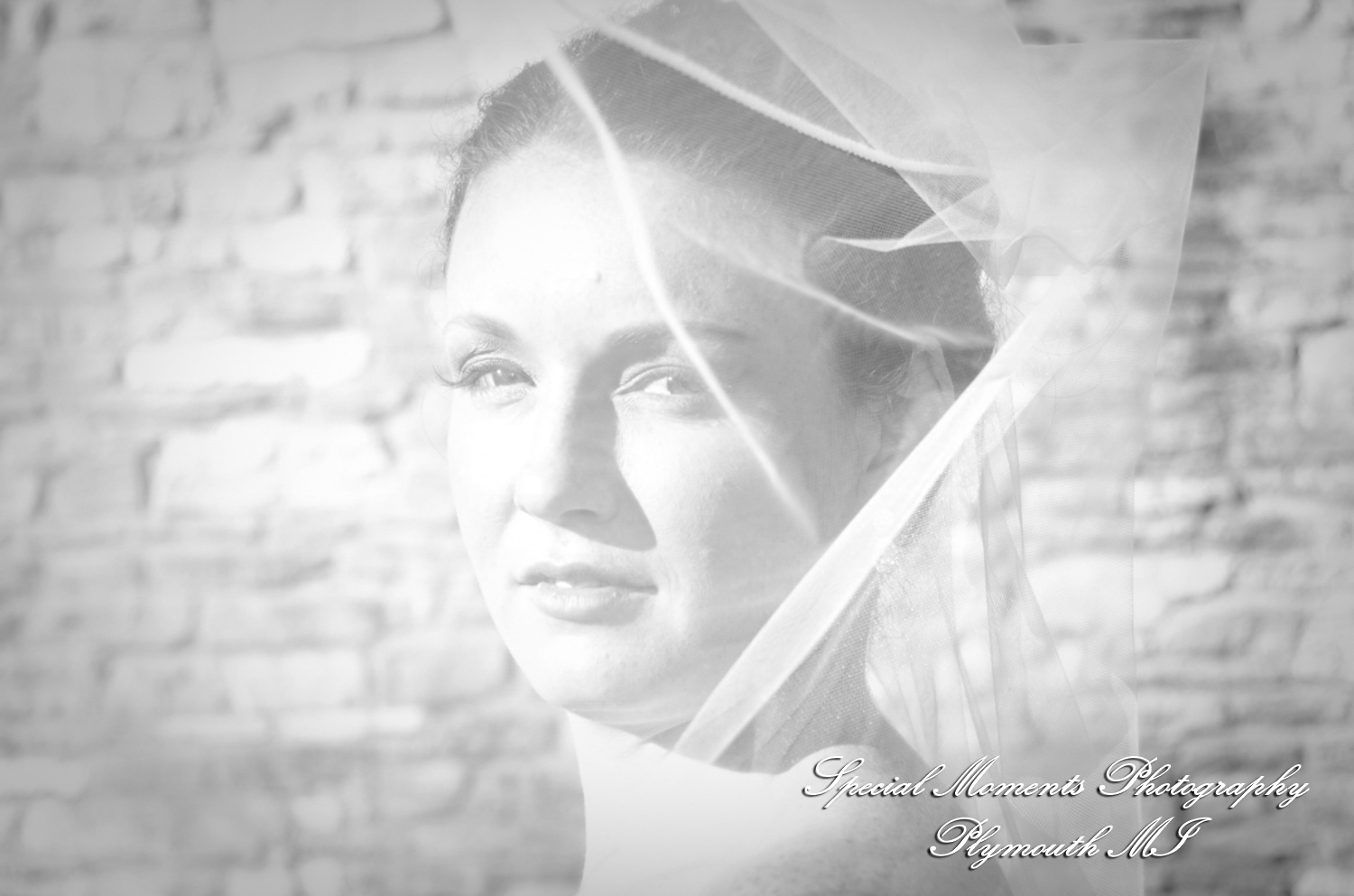 Holly & Christopher at Martha-Mary Chapel Greenfield Village Dearborn MI wedding photography