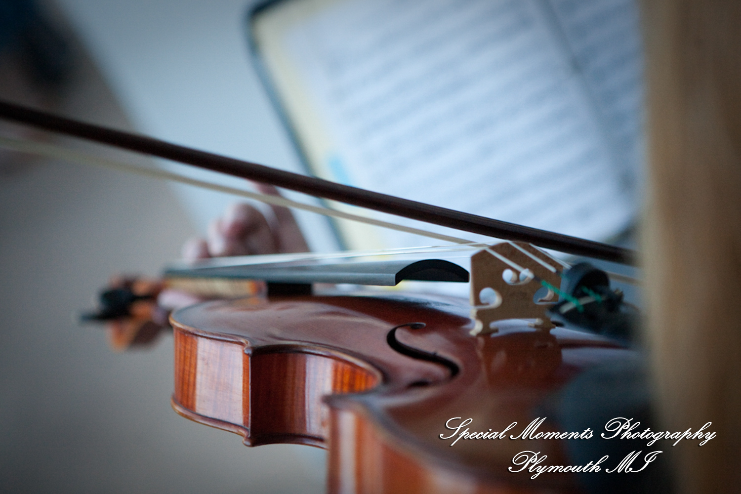 Holly & Christopher at Eagle Tavern Greenfield Village Dearborn MI wedding photography