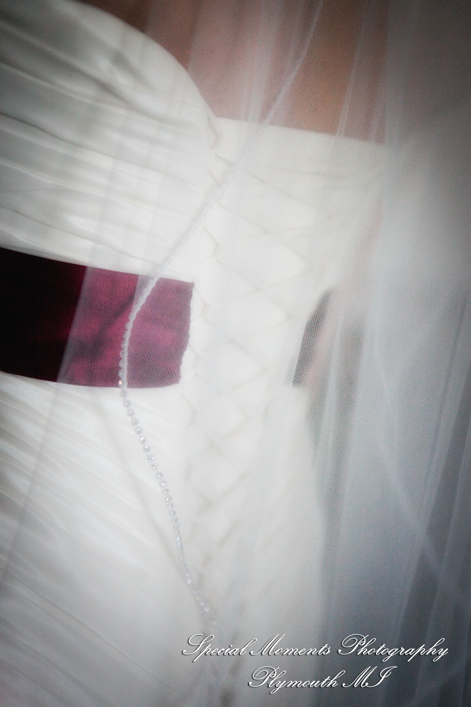 Holly & Christopher at Eagle Tavern Greenfield Village Dearborn MI wedding photography