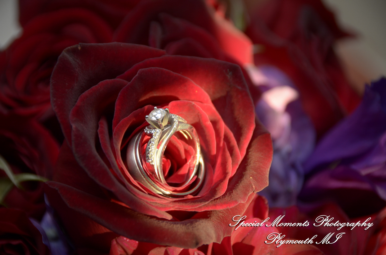 Holly & Christopher at Eagle Tavern Greenfield Village Dearborn MI wedding photography