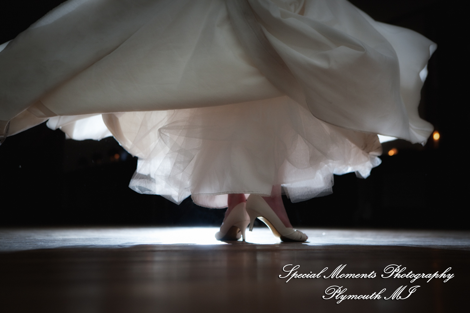 Holly & Christopher at Eagle Tavern Greenfield Village Dearborn MI wedding photography