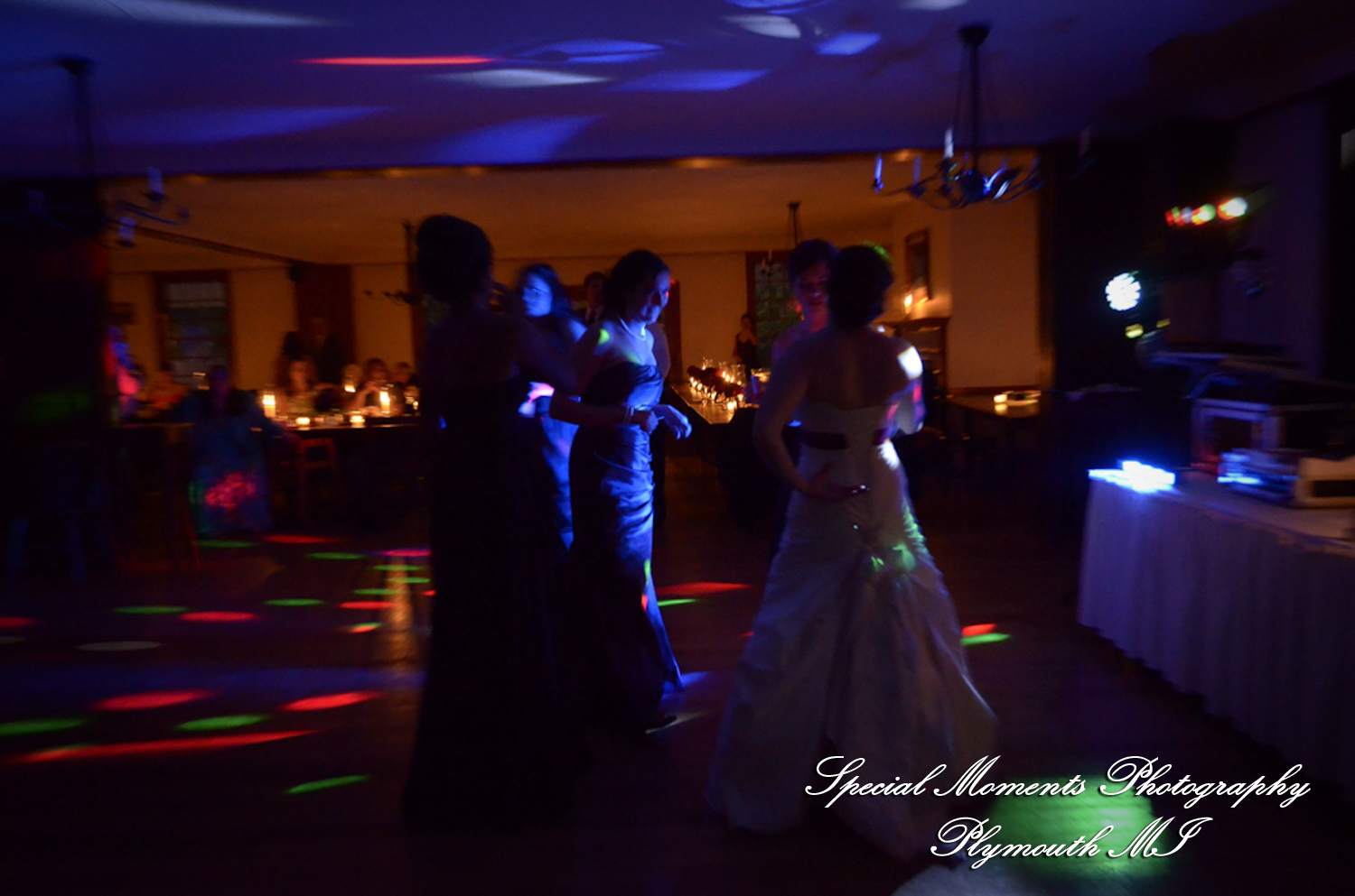 Holly & Christopher at Eagle Tavern Greenfield Village Dearborn MI wedding photography