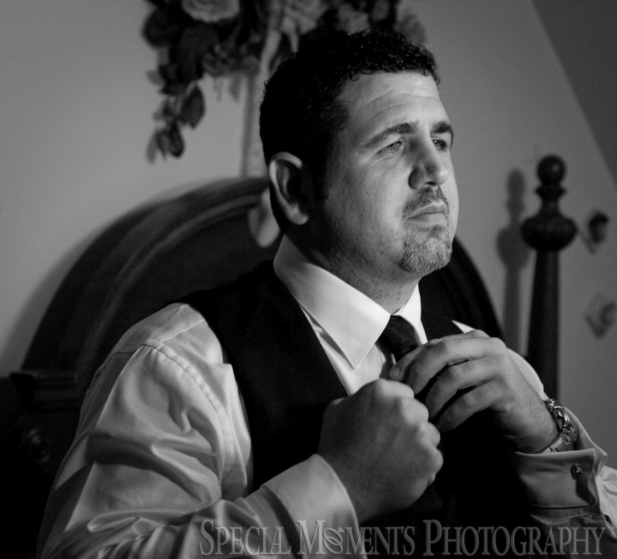 St. John's Resort Plymouth MI wedding photograph