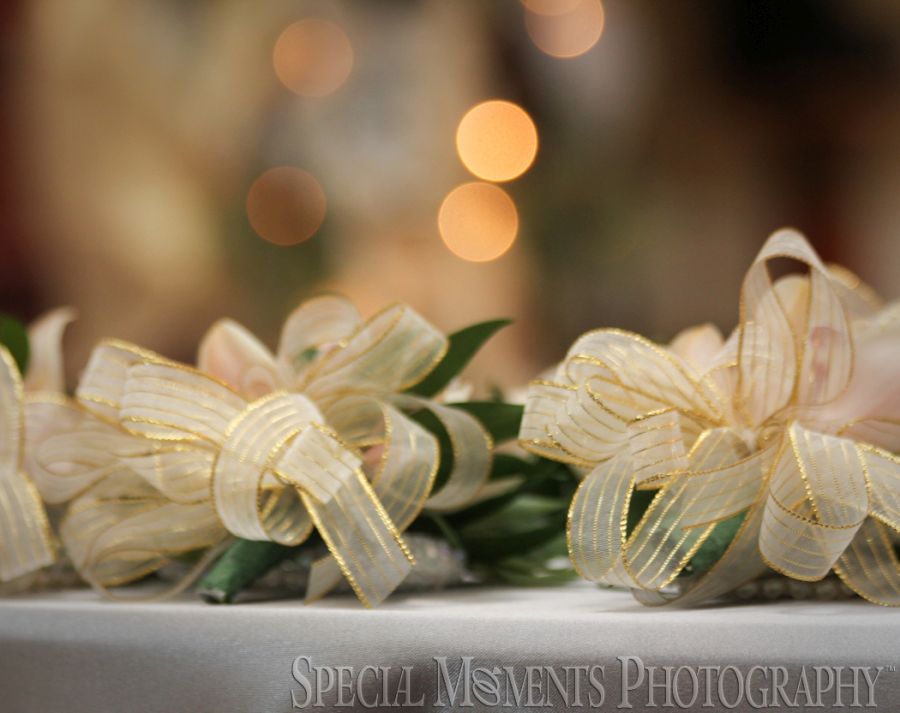 St. John's Resort Plymouth MI wedding photograph