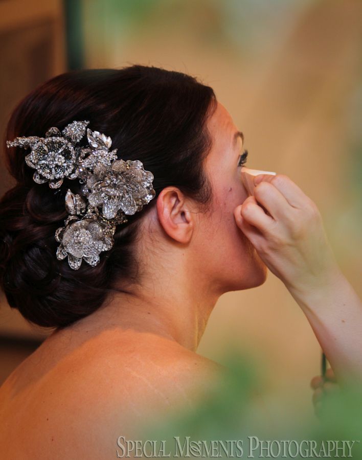 St. John's Resort Plymouth MI wedding photograph