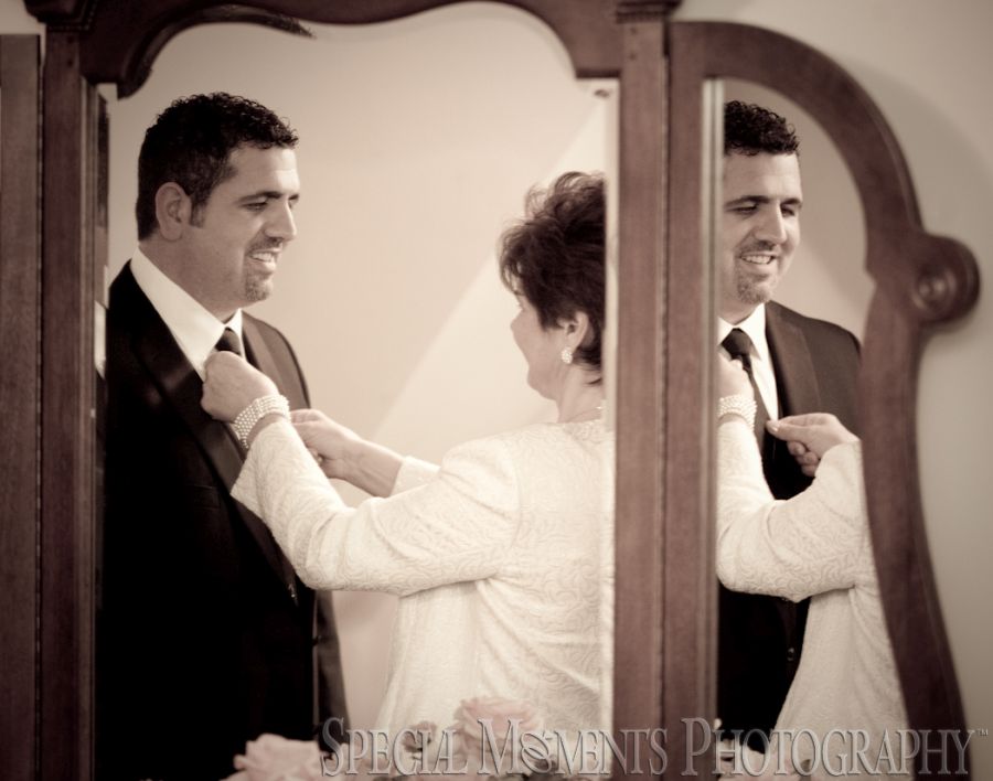 St. John's Resort Plymouth MI wedding photograph