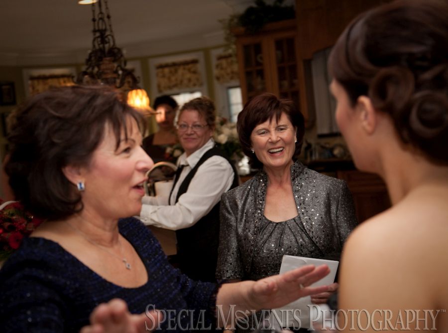 St. John's Resort Plymouth MI wedding photograph