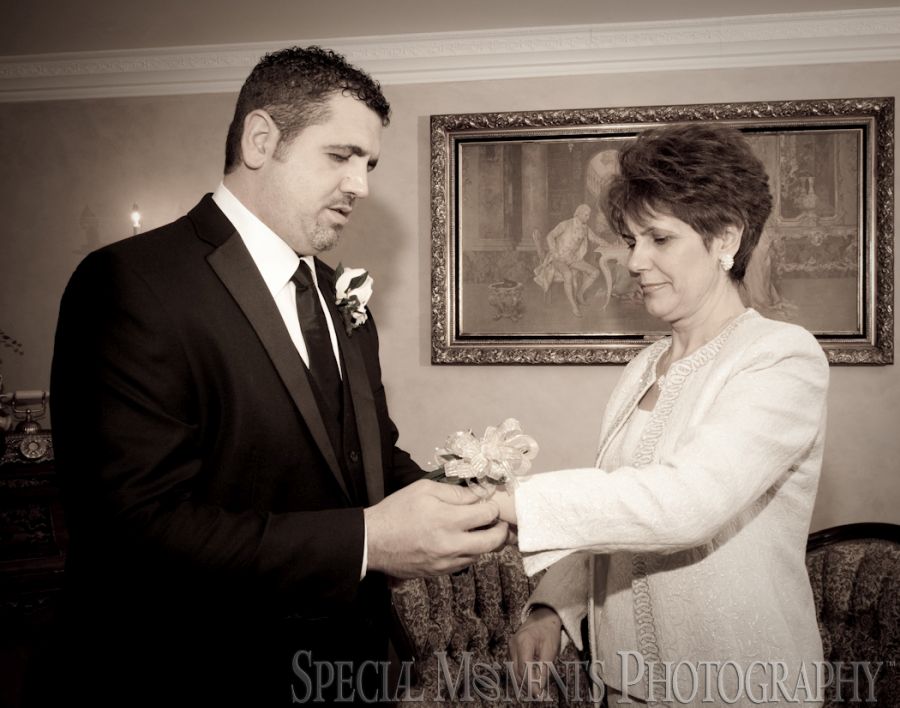 St. John's Resort Plymouth MI wedding photograph