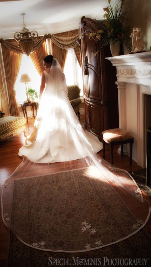 St. John's Resort Plymouth MI wedding photograph