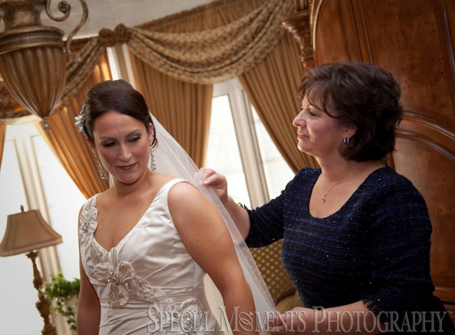 St. John's Resort Plymouth MI wedding photograph